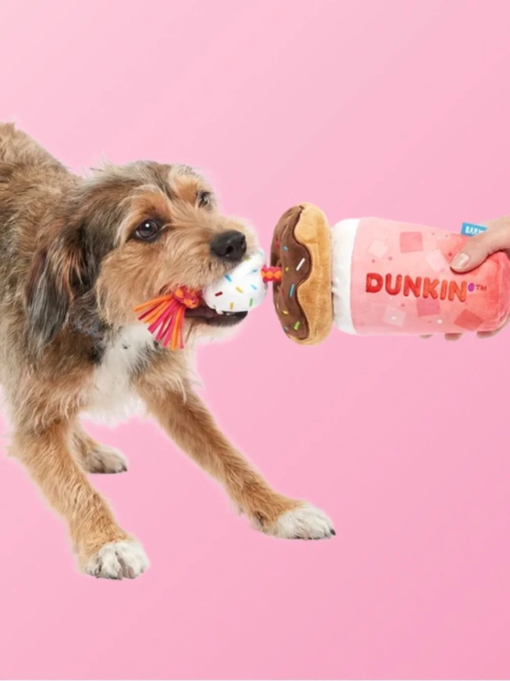 Dunkin x Barkbox Strawberry Dragonfruit Refresher & Donuts Plush Tug Dog Toy
